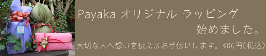 Payaka ���ꥸ�ʥ롦��åԥ󥰻Ϥ�ޤ�����